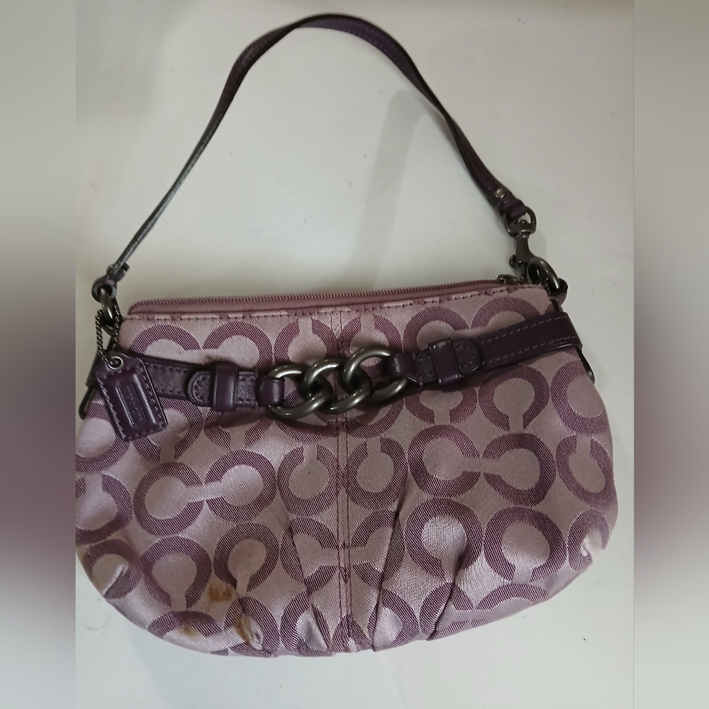 Coach Mini Bag/Wristlet